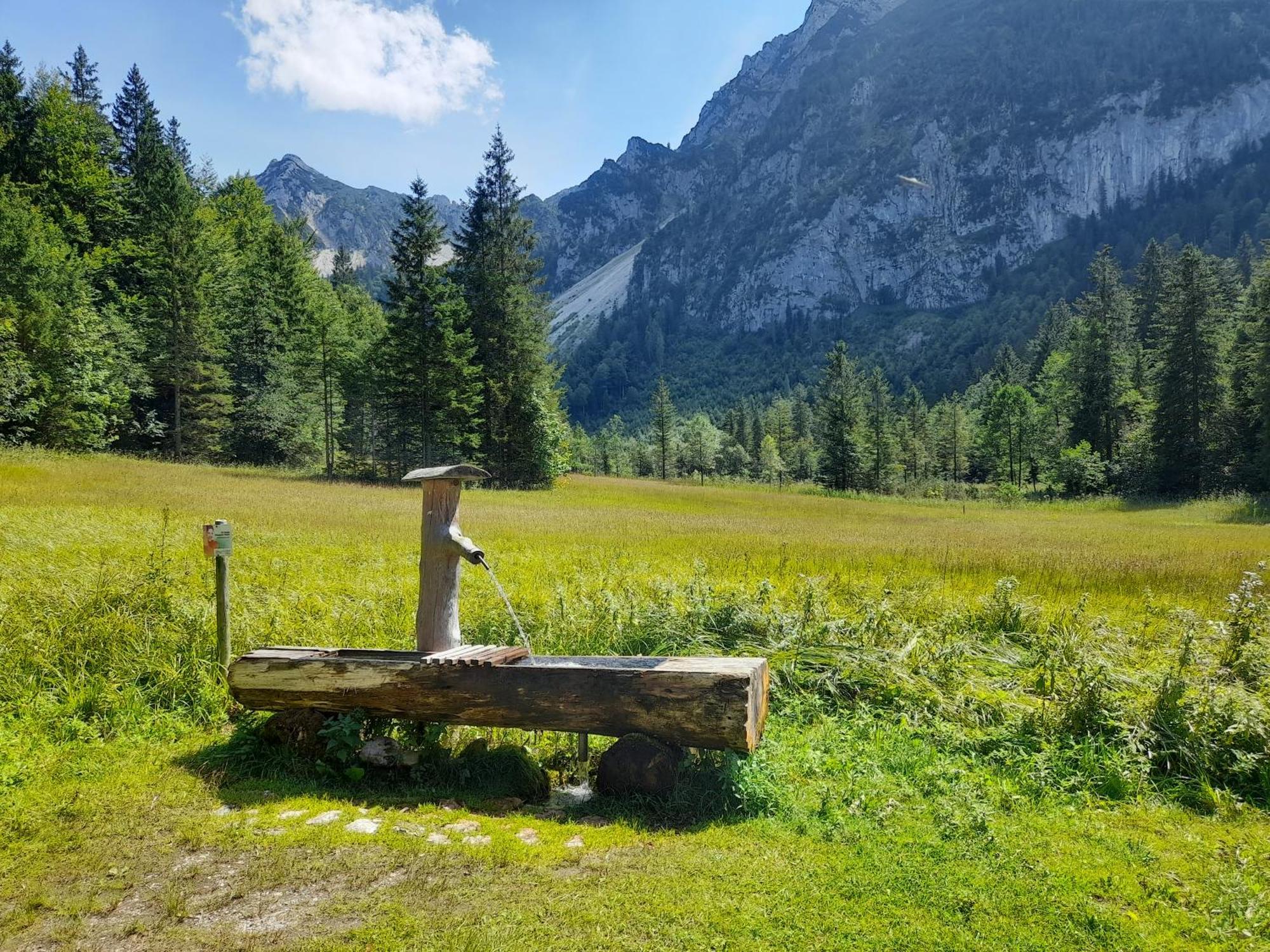 Im Naturgarten Teisendorf Εξωτερικό φωτογραφία